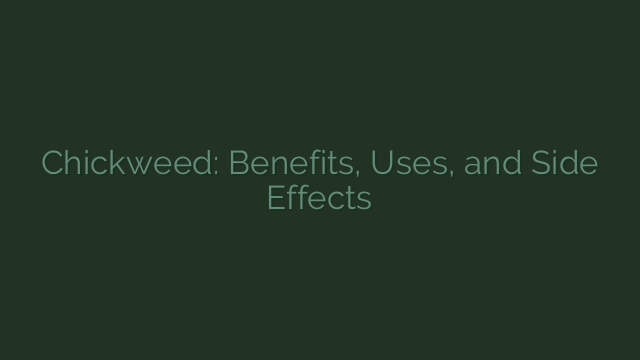 Chickweed: Benefits, Uses, and Side Effects 